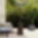 1638199853124.jpeg