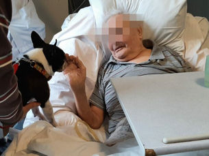 Les jardins d’Estracelles A BEUVRY AVEC IDA ET NIGHT