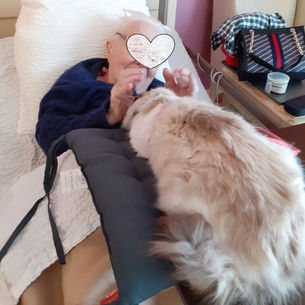 LES AMANDINES CAMBRAI AVEC LASCO NEVY ET PLUME