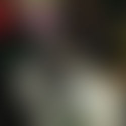 BELLE SÉANCE POUR LA DEUXIÈME POUR SWAN AVEC ROSALIE ET NEVY AUX GODENETTES TRITH ST LEGER