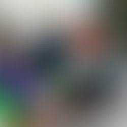 AU RAYON VERT A CANTIN AVEC MELKIOR TWIGGY ET NYMPHEA