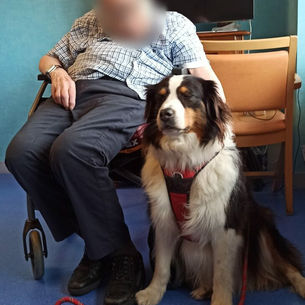 Moïra à la maison de retraite « Amitiés d’automne » à HERLIES visites en chambre