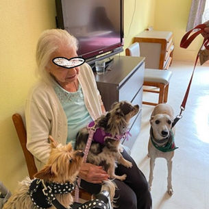 RESIDENCE LE CHATEAU ECAILLON AVEC IRIS TILOO ET NEVY