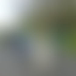 ballade le long du canal , par beau temps et avec un gros groupe du foyer de vie le rayon vert à Cantin