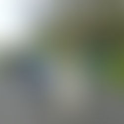 ballade le long du canal , par beau temps et avec un gros groupe du foyer de vie le rayon vert à Cantin