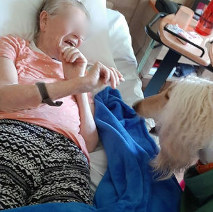 Tarek & Night Les jardins de Lievin