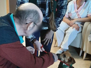 Les orchidées,ils étaient 5 et on a enfin pu faire les 4 niveaux de l’établissement en se séparant pour une séance de 2 heures malgré tout.Des résidents heureux.Pattie,Tino, Romy,Tango pour sa prem...