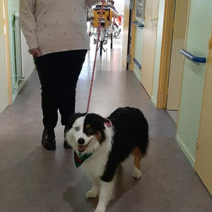 Night  LA Marelle le 28 novembre 2024