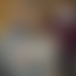 LA RIVE D OR NOYELLES GODAULT AVEC ILANG ET MOON