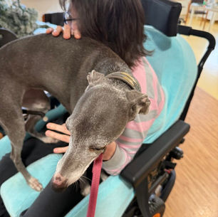 L’AQUARELLE OIGNIES AVEC MIZU ET USKA