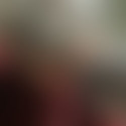 Tango,Sparrow,Nouba & Night en bonne compagnie aux jardins de Liévin