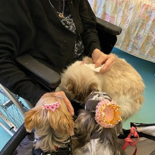 PLAINE DE LA SCARPE LALLAING AVEC IRIS TILOO BEN NEVY ET PLUME