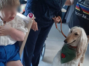 Toffee a fait son baptême impeccablement à la Marelle de Lievin. Une superbe entente avec Tarek,Night & Lotus.