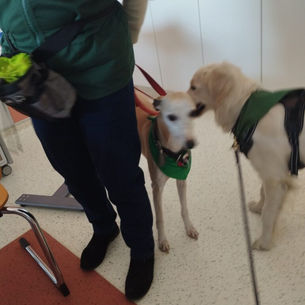 CLINIQUE VAUBAN A VALENCIENNES SOINS PALLIATIFS AVEC HYGIE POUR SA PREMIÈRE SÉANCE ET NEVY