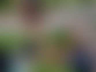 Entre Balades,jeux de Balle,brossage et câlins,Toffee,Night &Lotus se sont rendus au foyer de vie du bord des eaux.Toffee a validé honorablement sa deuxième séance.