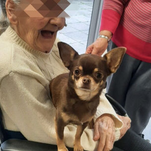 EHPAD POREBSKI visite de Tarek,Sidonie et Night