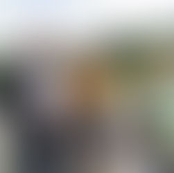 Promenade dans le village avec les chiens des bénévoles du cœur sur la patte cet après-midi à la résidence Les Godenettes