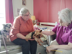 l Ehpad d arleux les jardins d Allium avec Iris Tiloo Perce-Neige et Twiggy le plaisir de vous accueillir quand je vois le sourire des Résidents