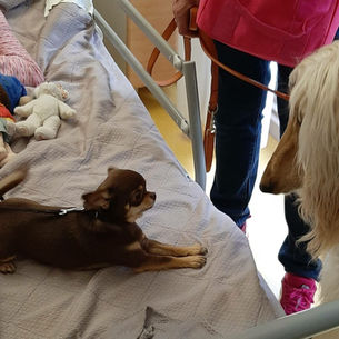 A l’ehpad Degeorge,Tarek,Sidonie et Night étaient très attendus… Ils ont même eu droit à une petite chanson interprétée par la chorale de l’établissement.