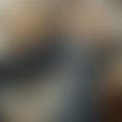 Ce jeudi 17 octobre 2024,Night et Romy ont rendu visite aux résidents de l’Ehpad les jardins de Liévin.Pour l’occasion,Romy a fait un petit pas de danse.