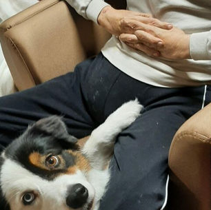 Ce jeudi 17 octobre 2024,Night et Romy ont rendu visite aux résidents de l’Ehpad les jardins de Liévin.Pour l’occasion,Romy a fait un petit pas de danse.