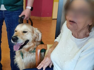 EHPAD Les orchidées avec Tango,Romy et Night.