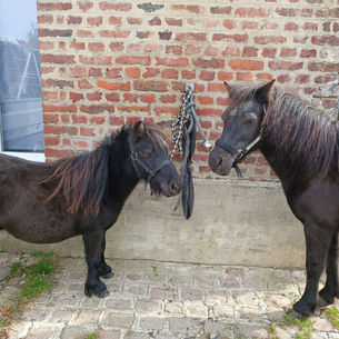 Demain RDV de 11h à 17h au CHU de Lille