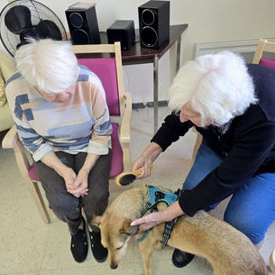 La douce Plume et les 2 compères Navy et Ben ont apporté plein de tendresse, d’attention et de câlins aux résidents de la Plaine de la Scarpe de Lallaing ce samedi 17 mai