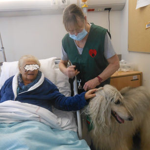 HOPITAL DE VALENCIENNES SERVICE USP/EMSP