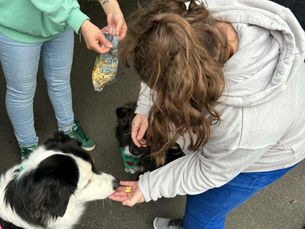 Une bien jolie balade d’une heure avec Tarek,Night, Lotus et les enfants de l’IME Malécot.De bonnes friandises pour les toutous en plus.Merci aux éducatrices !!!!