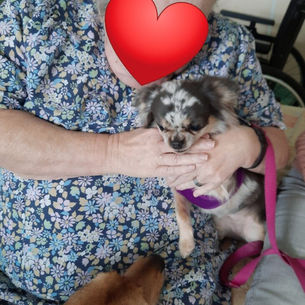 MAISON PLAINE DE LA SCARPE LALLAING AVEC IRIS TILOO BEN ET NEVY