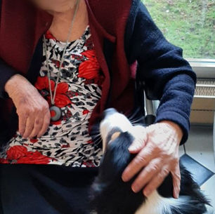 EHPAD Porebski à Bully Les Mines avec Night,Sidonie et Ida