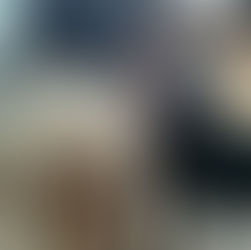 Trois toutous bien dans leurs papattes pour enchanter les résidents de l’EHPAD Les Orchidees de Vendin Le Vieil.Toffee,Tarek & Night.