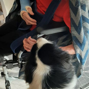 Le 6 Mars Uggy,Tarek & Night ont apporté un peu de douceur aux résidents de l’HEPAD Porebski