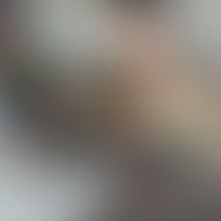 Ben, Navy & Plume en mission « calins » au centre Constance Pascal du Centre Hospitalier de Valenciennes le samedi 7 septembre Ils ont aussi apporté de petits cadeaux aux patients confectionnés par...