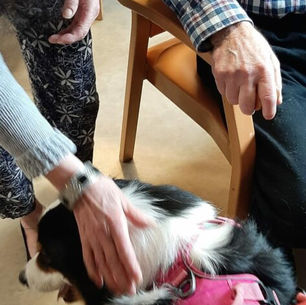 Lotus & Night ont fait des heureux.Les orchidées