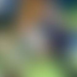 HOPITAL DE JOUR A VALENCIENNES AVEC NEVY ET PLUME