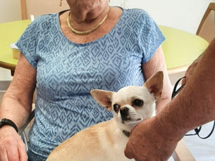 EHPAD Porebski avec Uggy,Sidonie et Night