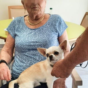 EHPAD Porebski avec Uggy,Sidonie et Night