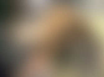 Ben, les belles Opalyne, Swann & Plume ont apporté une présence chaleureuse et réconfortante aux patients de l’unité de soins palliatifs du Centre Hospitalier de Valenciennes ce samedi 9 novembre