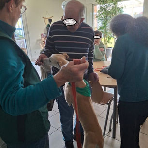 CENTRE HABITAT APEI CAMBRAI AVEC MERLIN NEVY ET PLUME