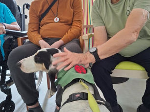 Merlin Maddie Nevy et Plume en visite au château d’Ecaillon