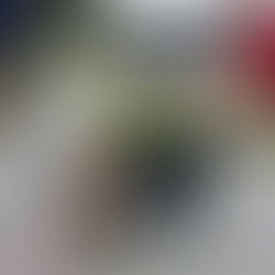 Câlins,caresses,jeux,balades ont été apportés par Toffee,Tarek et Lotus aux résidents du foyer de vie du bord des eaux.