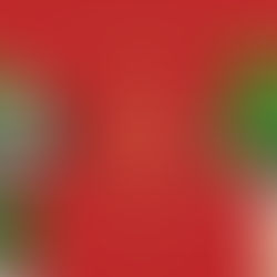 Bonnes fêtes de fin d’années à vous tous mes chers adhérents et postulants…et une énorme pensée à toutes ces personnes qu’on visite , soit en EHPAD , soit dans les hôpitaux , foyer de vie , centre ...