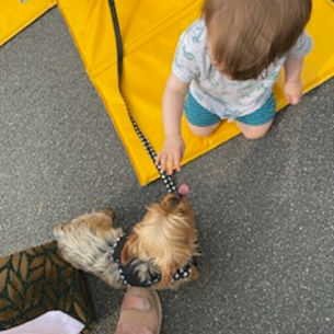 RENCONTRE INTERGENERATIONNELLE A ARLEUX