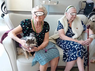 AU JARDIN D’HALLIUM A ARLEUX AVEC TILOU IRIS NEPAL ET PERCE NEIGE