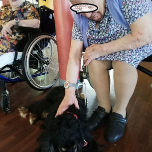 Ce 12 août après midi, des membres de ❝𝐥’𝐀𝐬𝐬𝐨𝐜𝐢𝐚𝐭𝐢𝐨𝐧 𝐋𝐞 𝐂œ𝐮𝐫 𝐬𝐮𝐫 𝐥𝐚 𝐩𝐚𝐭𝐭𝐞❞ est intervenue au sein de l’EHPAD MERMOZ QUINCONCE accompagnée de compagnons sur pattes pour le...