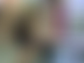 Une équipe de choc, composée de Plume, Navy, Ben, Merlin, Maddie, & Tiloo ont offert une présence réconforte, une patte tendue et une oreille attentive aux résidents de la Plaine de la Scarpe de La...