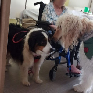 Moïra, Nouba et Tarek à l’EPAD Saint Antoine de Padoue LILLE Le 5 août Que du bonheur