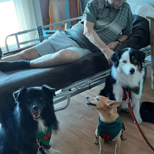 ORCHIDÉES VENDIN LE VIEL